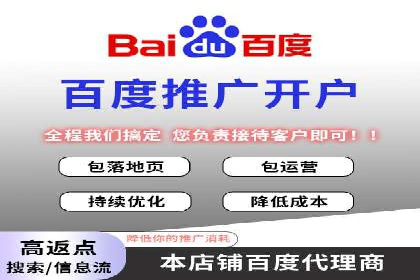 百度竞价广告投放全解析：成功案例揭秘